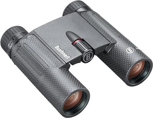 Bushnell 10x25mm Nitro Binocular
